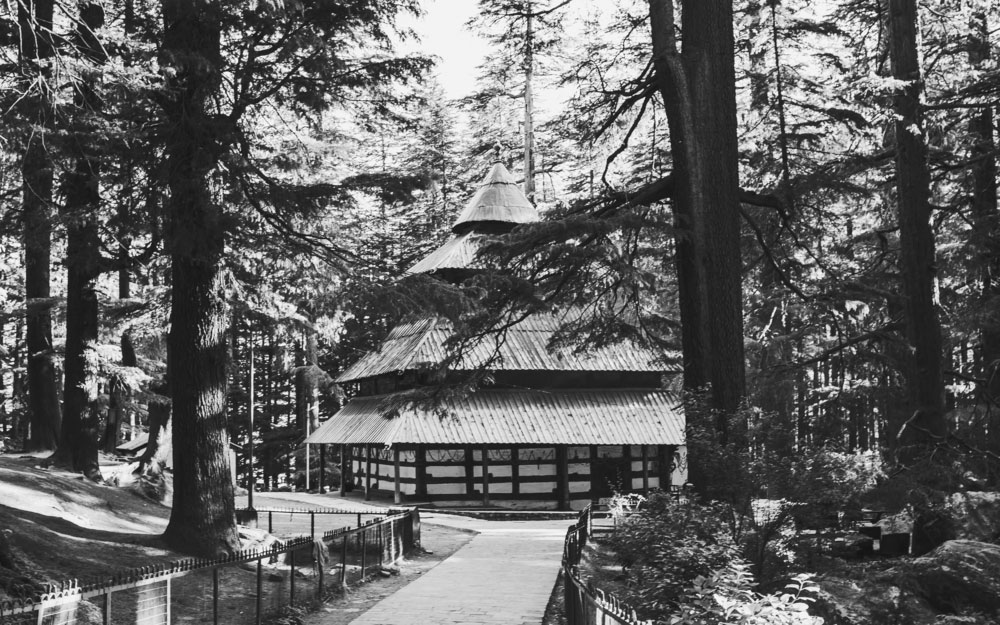 Himachal Test Partner Special Tour